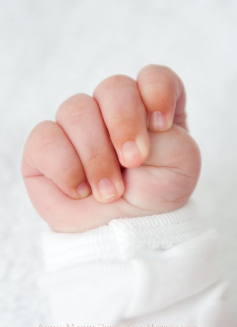 Untitled design - 2026-03-11T130241.265